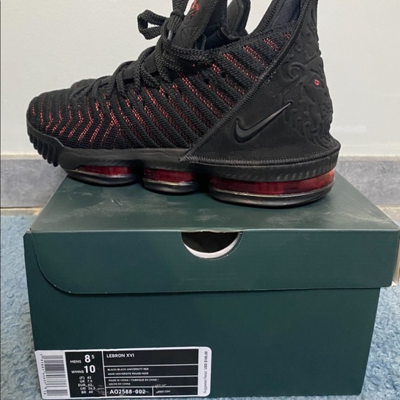 nike labron xvi barely worn excellent condition main image 4
